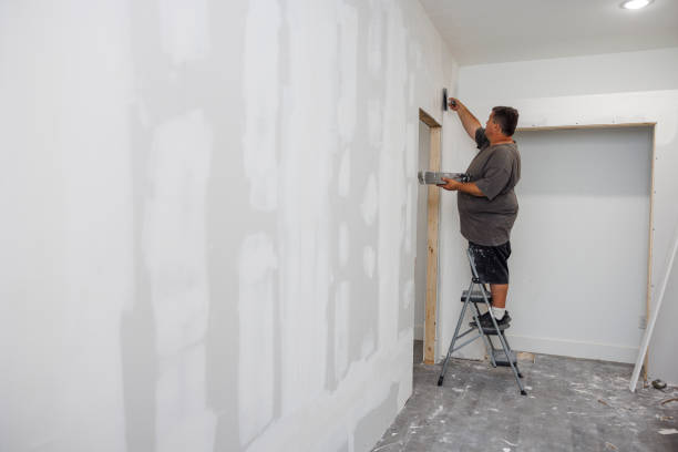 Best Commercial Mold Inspection  in Nokomis, FL