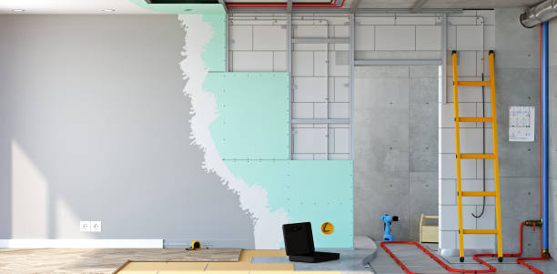 Best Mold Damage Restoration  in Nokomis, FL